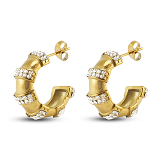 Roestvrij stalen (RVS) Stainless steel oorbellen / oorstekers Gold