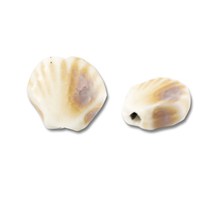 Kralen keramiek schelp Off white