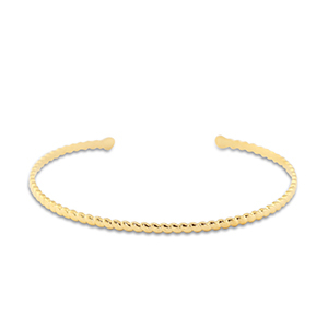 Roestvrij stalen (RVS) Stainless steel armbanden bangle Gold