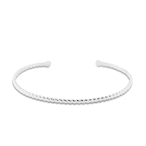 Roestvrij stalen (RVS) Stainless steel armbanden bangle Silver