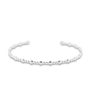 Roestvrij stalen (RVS) Stainless steel armbanden bangle Silver