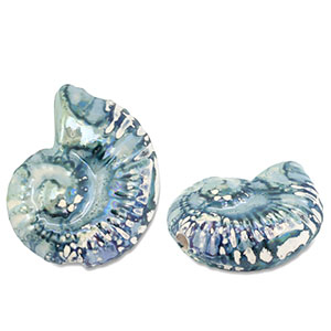 DQ Grieks keramiek kralen schelp Green-blue-white