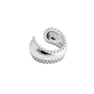 Roestvrij stalen (RVS) Stainless steel oorbellen ear cuff Silver