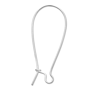 Roestvrij stalen (RVS) stainless steel onderdelen sluitbare oorhangers Silver