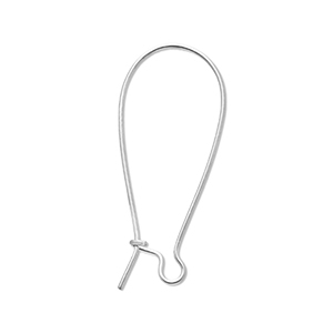 Roestvrij stalen (RVS) stainless steel onderdelen sluitbare oorhangers Silver