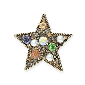 Broches ster Gold-black-multicolour