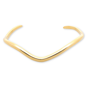 Roestvrij stalen (RVS) Stainless steel armbanden bangle Gold
