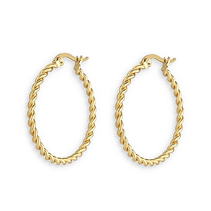 Roestvrij stalen (RVS) Stainless steel oorbellen creolen twisted Gold