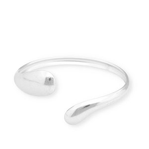 Roestvrij stalen (RVS) Stainless steel armbanden bangle Silver