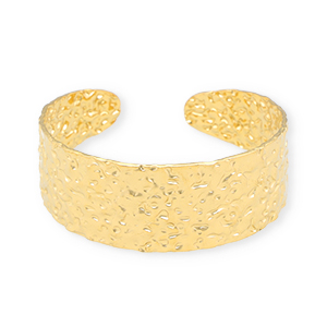 Roestvrij stalen (RVS) Stainless steel armbanden bangle Gold