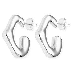 Roestvrij stalen (RVS) Stainless steel oorbellen / oorstekers irregular Silver