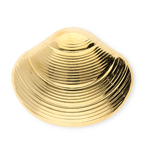 Roestvrij stalen (RVS) Stainless steel statement broches schelp Gold