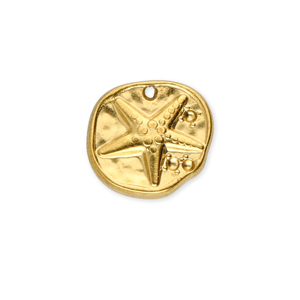 Roestvrij stalen (RVS) Stainless steel bedels rond met zeester Gold