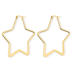 Roestvrij stalen (RVS) Stainless steel oorbellen&nbsp;/&nbsp;creolen ster Gold