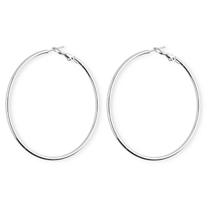 Roestvrij stalen (RVS) Stainless steel oorbellen&nbsp;/&nbsp;creolen Silver
