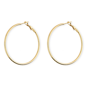 Roestvrij stalen (RVS) Stainless steel oorbellen&nbsp;/&nbsp;creolen Gold