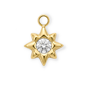 Roestvrij stalen (RVS) Stainless steel bedels met strass ster Gold-crystal