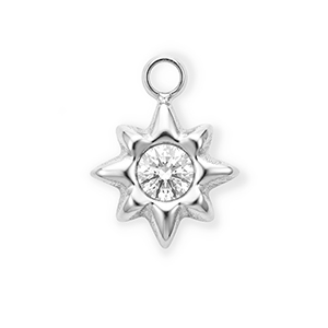 Roestvrij stalen (RVS) Stainless steel bedels met strass ster Silver-crystal