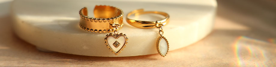 Nieuwe schitterende roestvrij stalen schelp bedels